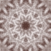 fortebkgd4292 fortebkgd4292