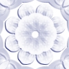 fortebkgd4305