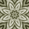 fortebkgd431