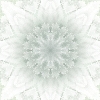 fortebkgd4311