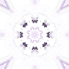 fortebkgd4327