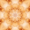 fortebkgd4336