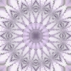 fortebkgd4357
