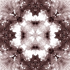 fortebkgd4395 fortebkgd4395