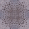 fortebkgd4530