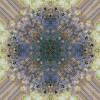 fortebkgd4538