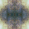 fortebkgd4539
