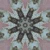 fortebkgd4542