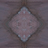 fortebkgd4543