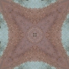 fortebkgd4544