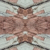fortebkgd4559