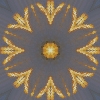 fortebkgd4580