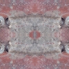 fortebkgd4583