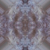 fortebkgd4590