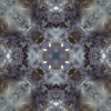 fortebkgd4593