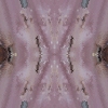 fortebkgd4598