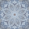 fortebkgd4607
