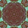 fortebkgd463