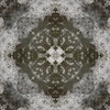 fortebkgd4650