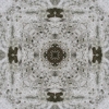fortebkgd4651