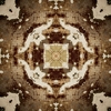 fortebkgd4670