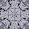 fortebkgd4686