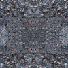 fortebkgd4716