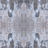 fortebkgd4721