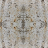 fortebkgd4730