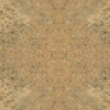 fortebkgd4738