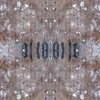 fortebkgd4776