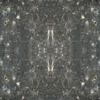 fortebkgd4786