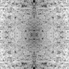 fortebkgd4796