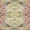 fortebkgd4870 fortebkgd4870