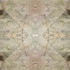 fortebkgd5136