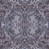 fortebkgd5155 fortebkgd5155