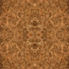 fortebkgd5175