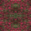 fortebkgd5180 fortebkgd5180