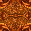 fortebkgd5222