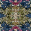 fortebkgd5230