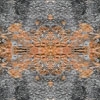 fortebkgd5237