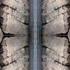 fortebkgd5254