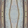 fortebkgd5257