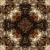 fortebkgd5288