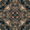 fortebkgd5324