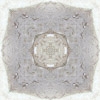 fortebkgd5334