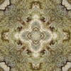 fortebkgd5341
