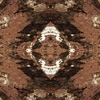 fortebkgd5430