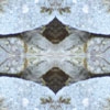 fortebkgd5440