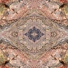 fortebkgd5445